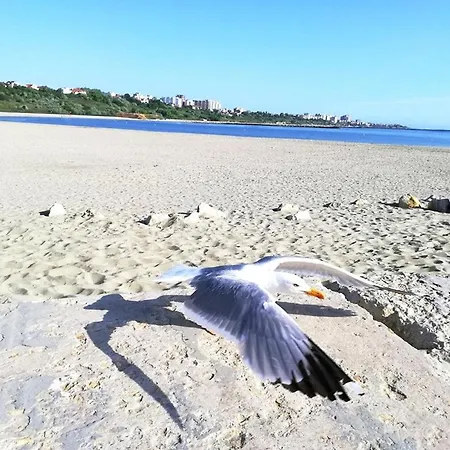 Summerland Joy Lägenhet Mamaia